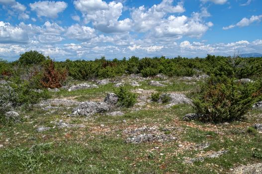 Dalmatian dry rocky landscape at spring time