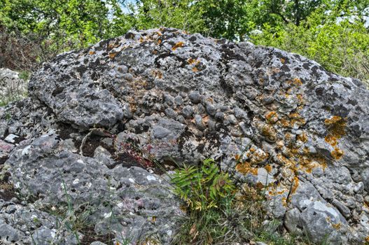 Big stone at field in Dalmatia