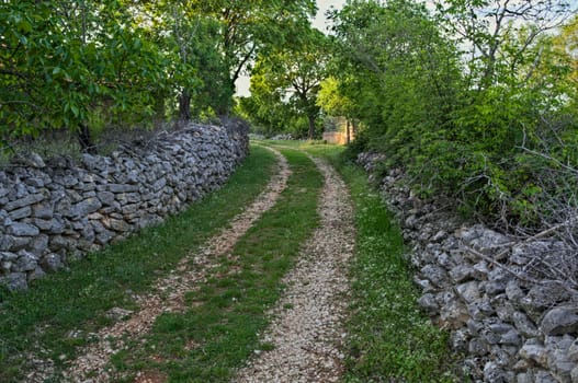 Dalmatian countryside road with stone fence on both sides