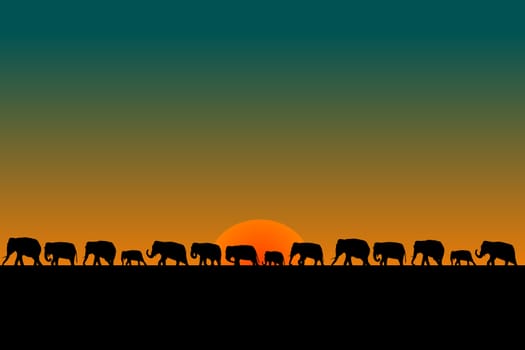 Herd of elephants at sunset