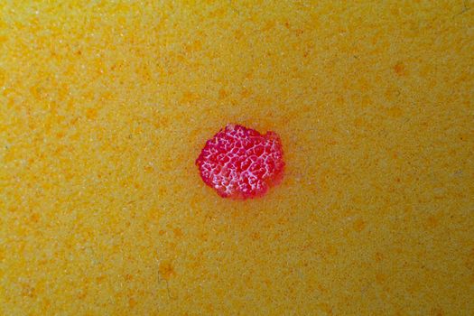 sponge bath macro shooting bubbles texture with water drops dishwashing detergent