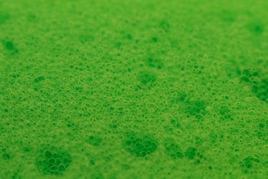 green sponge macro photo texture bubbles green