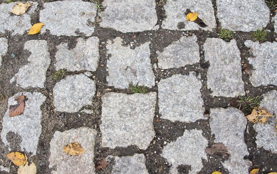 old paving stone, pavement footpath close up photo