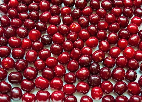 Cherries harvested, washed, and ready to eat, close up