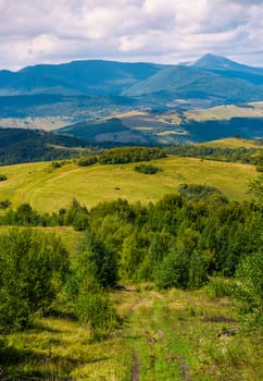 beautiful countryside of Crapathians in early autumn. forested hills and mountain ridge with high peak in the distance. lovely sunny weather with cloudy sky