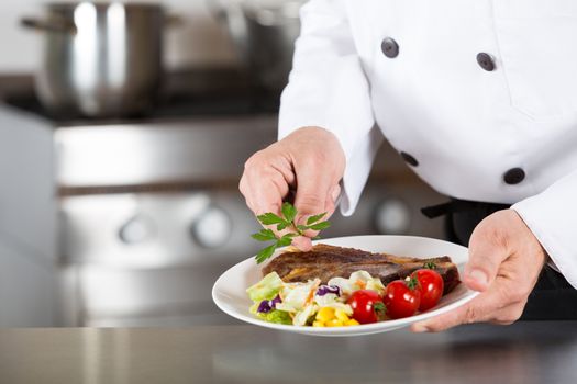 Chef finishing her plate and almost ready to serve at the table