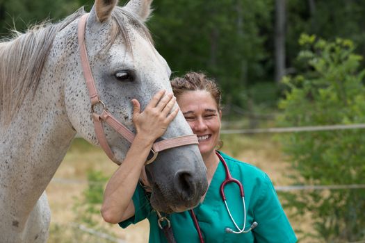 Veterinary great performing a scan to a young mare