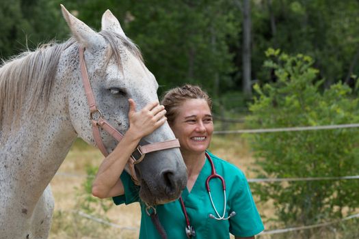 Veterinary great performing a scan to a young mare
