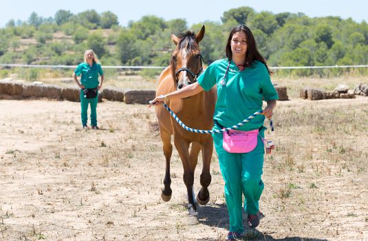 Horse veterinarian performing a walk test galloping