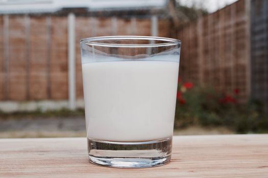Tasty and fresh milk in glass. Green and red concept.