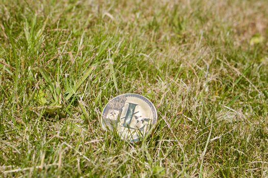 Digital currency physical gold litecoin coin in green grass.