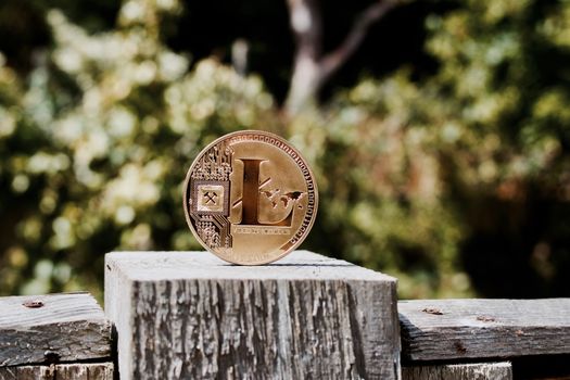 Digital currency physical gold litecoin coin on the wooden fence in the garden.