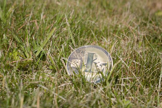 Cryptocurrency physical gold litecoin coin in grass. Natural concept.