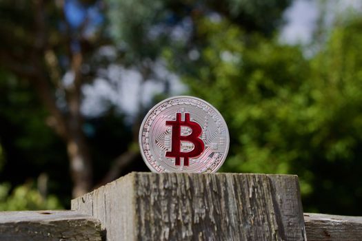 Digital currency physical red bitcoin coin on the wooden fence in the garden.