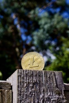 Digital currency physical gold litecoin coin on the wooden fence in the garden.