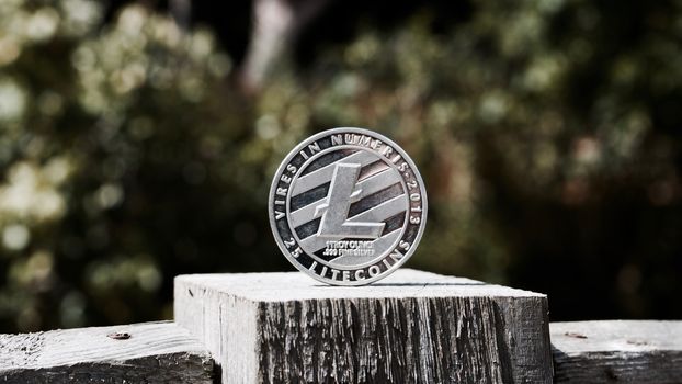 Digital currency physical silver litecoin coin on the wooden fence in garden.