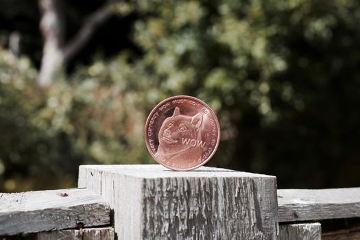 Digital currency physical brass dogecoin coin on the wooden fence in garden.