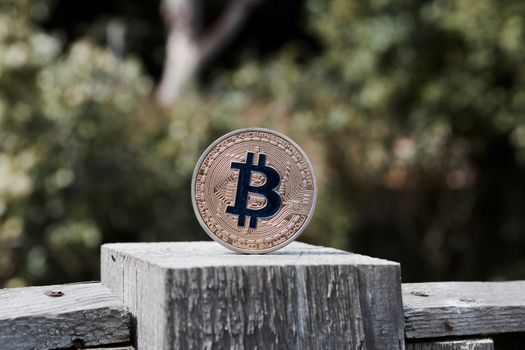 Digital currency physical gold bitcoin coin with blue sign on the wooden fence in garden.