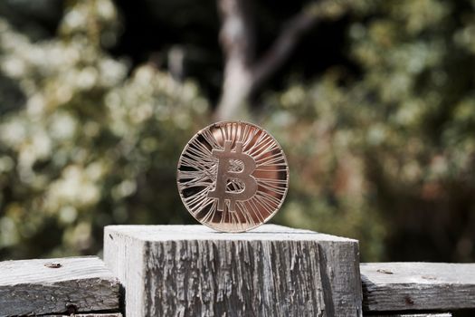 Digital currency physical gold bitcoin coin in garden. Green natural concept.