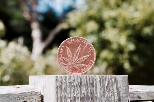 Cannabis brass leaf coin on the wooden fence in garden.