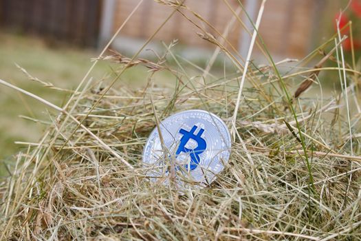 Digital currency physical silver bitcoin coin in grass at garden. Outdoor concept.