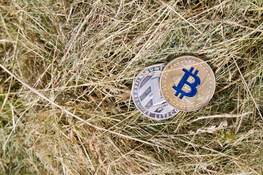 Digital currency physical gold bitcoin coin and silver litecoin.