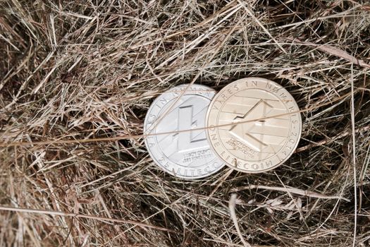 Digital currency physical silver and gold litecoin coin in grass.