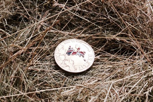 Europe leaving. Gold brexit coin with a british map in grass at garden.