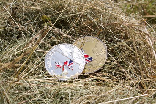 Europe leaving. Silver and gold brexit coin in grass with british map at front.