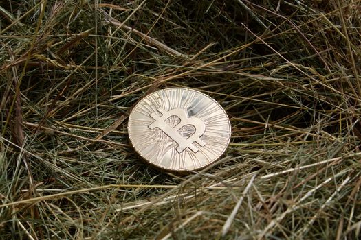 Digital currency physical gold bitcoin coin on the grass in garden.