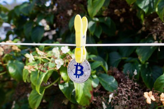Digital currency physical silver bitcoin coin on white line near green tree.