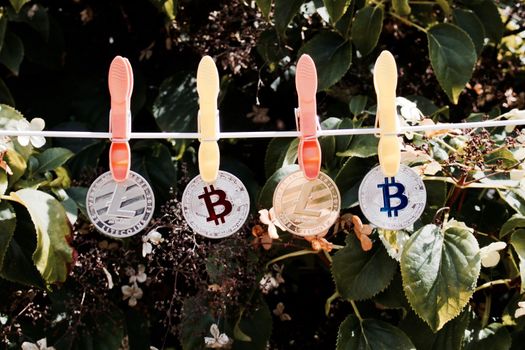 Digital currency silver and gold bitcoins and litecoins near green tree.