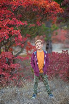 Cute handsome stylish boy enjoying colourful autumn park with his best friend red and white english bull dog.Delightfull scene of pretty boy together with bulldog in forest. Young teenager smiling