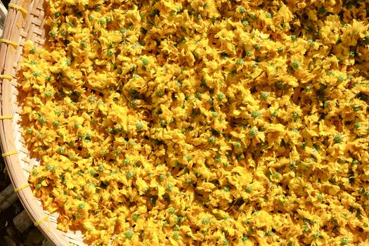Dried chrysanthemum flowers