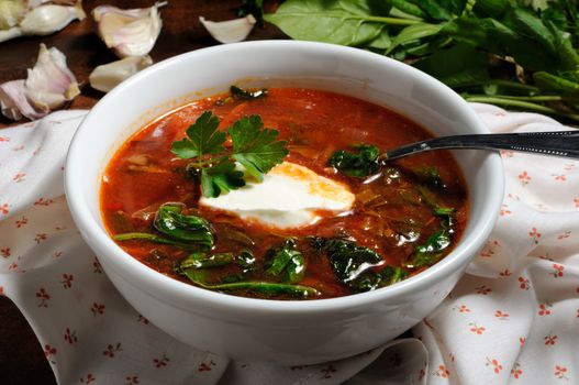 Vegetable bowl, tomato soup with spinach and sour cream. Horizontal shot.