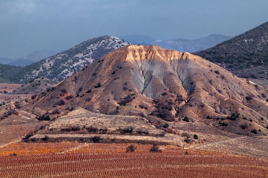 Vineyards. Autumn valley against the background of mountains and sky