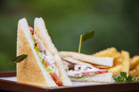 Healthy sandwich made of a fresh salad and tomatoTasty and fresh sandwiches on green background.