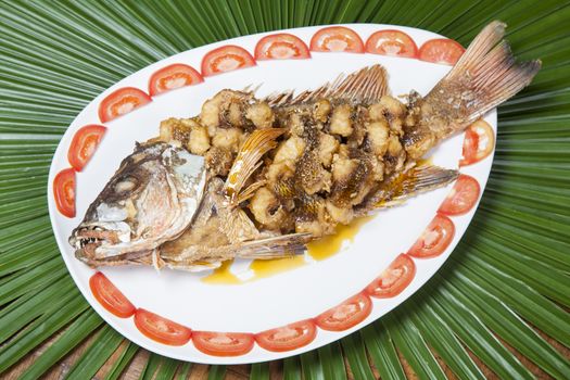 Fried snapper topped with sweet fish sauce with herbs,Plate with tomato.