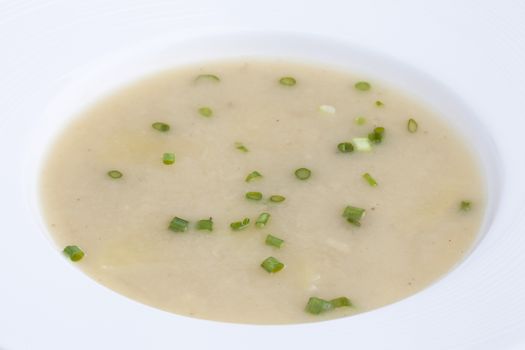 Parsnip cream soup on White floor