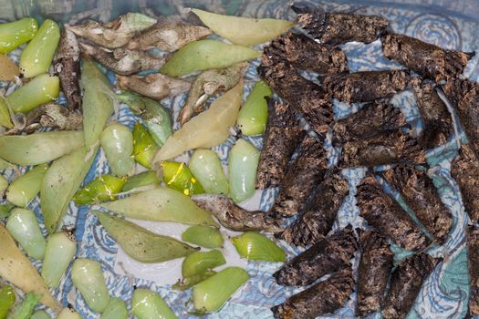 The chrysalis many kinds of putting together on the floor.