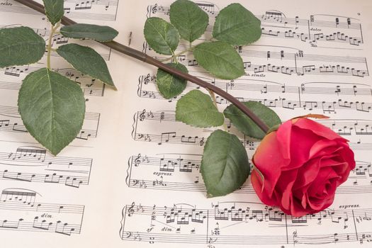 a red rose over a musical score