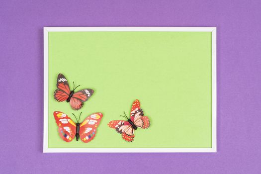 decorative butterflies in a white frame on a colored background