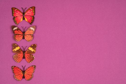 decorative butterflies on a colored background