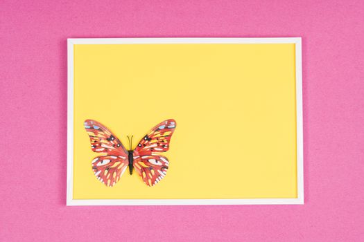 decorative butterfly on a colored background