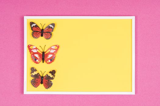 decorative butterflies on a colored background