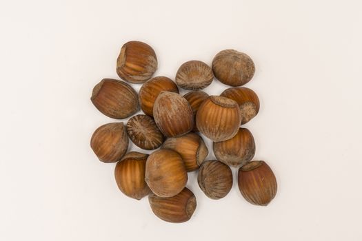 hazelnuts on a white background