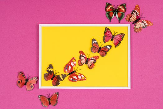 decorative butterflies on a colored background