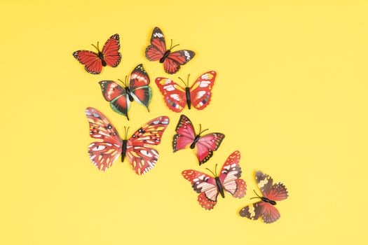 decorative butterflies in a white frame on a colored background