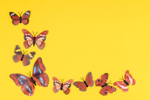 decorative butterflies in a white frame on a colored background