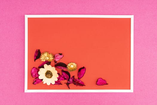 composition with dry flowers on a colored background